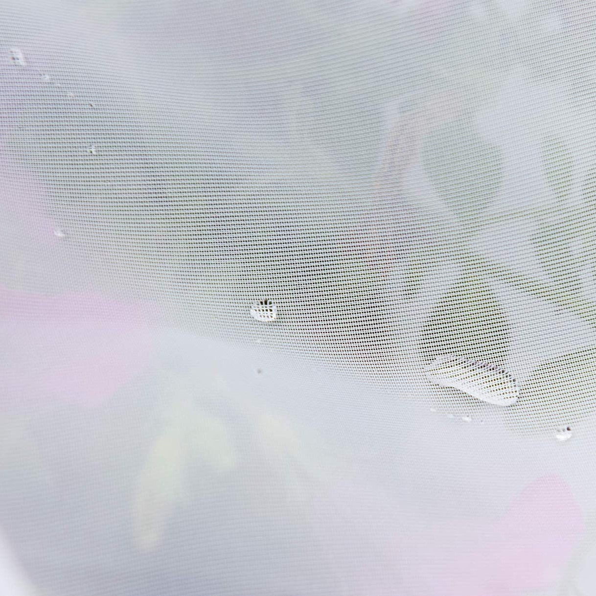 Rideau Outdoor Prosopis